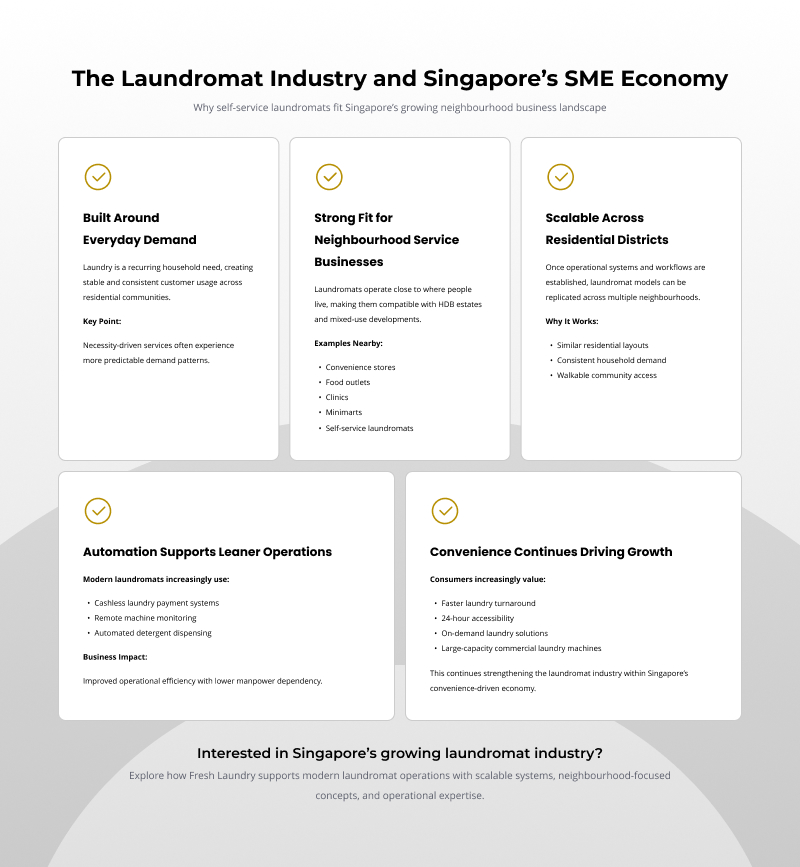 Infographic outlining the laundromat industry in Singapore's SME economy.